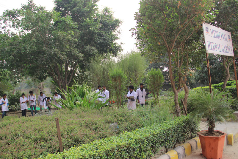 Herbal Garden at Lloyd School of Pharmacy