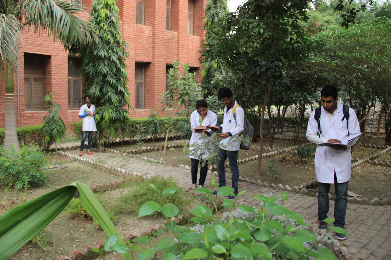 Herbal Garden at Lloyd School of Pharmacy